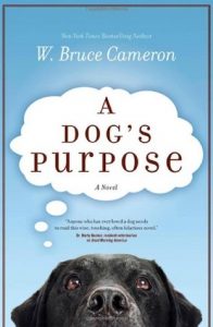 a dog's purpose movie,a dog's purpose cast,a dog's purpose imdb,a dog's purpose full movie online,a dog's purpose review,a dog's purpose pdf,a dog's purpose showtimes,a dog's purpose quotes,a dog's purpose book review,a dog's purpose movie review,a dog's purpose abuse,a dog's purpose book,a dog's purpose abuse video,a dog's purpose animal abuse,a dog's purpose author,a dog's purpose amazon,a dog's purpose audiobook,a dog's purpose actors,a dog's purpose a novel for humans,a dog's purpose amc,a dog's purpose audible,a dog's purpose,a dog's purpose novel,a dog's purpose box office,a dog's purpose book series,a dog's purpose bailey,a dog's purpose book target,a dog's purpose book amazon,a dog's purpose book walmart,a dog's purpose book online free,a dog's purpose book cover,a dog's purpose controversy,a dog's purpose commercial,a dog's purpose corgi,a dog's purpose characters,a dog's purpose common sense media,a dog's purpose commercial song,a dog's purpose chapter 1,a dog's purpose chapter summary,a dog's purpose cast ethan,a dog's purpose dog,a dog's purpose dvd,a dog's purpose dog names,a dog's purpose date,a dog's purpose dog cast,a dog's purpose discussion questions,a dog's purpose dennis quaid,a dog's purpose dog breeds,a dog's purpose director,a dog's purpose dog voice,a dog's purpose ethan,a dog's purpose ebook,a dog's purpose epub,a dog's purpose ending,a dog's purpose ellie,a dog's purpose ebook download,a dog's purpose español,a dog's purpose extended trailer,a dog's purpose ellie's story,a dog's purpose epub free download,a dog's purpose full movie free,a dog's purpose film,a dog's purpose full trailer,a dog's purpose full cast,a dog's purpose fandango,a dog's purpose full book,a dog's purpose facebook,a dog's purpose free pdf,a dog's purpose film review,a dog's purpose german shepherd,a dog's purpose genre,a dog's purpose google drive,a dog's purpose google drive mp4,a dog's purpose giveaway,a dog's purpose google books,a dog's purpose gsc,a dog's purpose golden village,a dog's purpose german,a dog's purpose guided reading level,a dog's purpose hardcover,a dog's purpose hannah,a dog's purpose harrison ford,a dog's purpose hardcover book,a dog's purpose harkins,a dog's purpose half price books,a dog's purpose how many pages,a dog's purpose hulu trailer,a dog's purpose hk,a dog's purpose hong kong,a dog's purpose images,a dog's purpose in life,a dog's purpose in spanish,a dog's purpose instagram,a dog's purpose in theaters,a dog's purpose itunes,a dog's purpose interview,a dog's purpose is it sad,a dog's purpose isbn,a dog's purpose josh gad,a dog's purpose january 27,a dog's purpose january 27th,a dog's purpose and a dog's journey,a dog's purpose kindle,a dog's purpose kj apa,a dog's purpose kickass,a dog's purpose knjiga,a dog's purpose kobo,a dog's purpose kinostart,a dog's purpose kinopoisk,a dog's purpose kinokuniya,a dog's purpose amazon kindle,purpose of a dog kennel,a dog's purpose lexile,a dog's purpose large print,a dog's purpose length,a dog's purpose lesson plans,a dog's purpose little ethan,a dog's purpose long trailer,a dog's purpose location,a dog's purpose little boy,a dog's purpose libro,a dog's purpose libro español,a dog's purpose movie times,a dog's purpose movie rating,a dog's purpose movie online,a dog's purpose movie poster,a dog's purpose music,a dog's purpose movie cast,a dog's purpose movie premiere,a dog's purpose movie dog breeds,a dog's purpose narrator,a dog's purpose netflix,a dog's purpose new trailer,a dog's purpose near me,a dog's purpose names,a dog's purpose number of pages,a dog's purpose norbert,a dog's purpose notes,a dog's purpose online free,a dog's purpose online book,a dog's purpose official trailer,a dog's purpose opening,a dog's purpose online book free,a dog's purpose opening day,a dog's purpose on dvd,a dog's purpose on amazon,a dog's purpose overview,a dog's purpose omaha,a dog's purpose preview,a dog's purpose plot,a dog's purpose poster,a dog's purpose premiere,a dog's purpose putlockers,a dog's purpose pages,a dog's purpose poem,a dog's purpose picture,a dog's purpose playing,a dog's purpose quiz,a dog's purpose questions,a dog's purpose quotes with page numbers,a dog's purpose questions and answers,a dog's purpose qartulad,a dog's purpose qbd,a dog's purpose study questions,a dog's purpose book discussion questions,a dog's purpose release date,a dog's purpose rating,a dog's purpose read online,a dog's purpose reading level,a dog's purpose reincarnation,a dog's purpose review movie,a dog's purpose release date us,a dog's purpose reddit,a dog's purpose release date uk,a dog's purpose soundtrack,a dog's purpose series,a dog's purpose song,a dog's purpose sequel,a dog's purpose sad,a dog's purpose short trailer,a dog's purpose synopsis,a dog's purpose series in order,a dog's purpose showing,a dog's purpose trailer,a dog's purpose tmz,a dog's purpose trailer 2,a dog's purpose tickets,a dog's purpose trailer songs,a dog's purpose the book,a dog's purpose time after time,a dog's purpose target,a dog's purpose trailer music,a dog's purpose toby,a dog's purpose used,a dog's purpose uk release date,a dog's purpose universal,a dog's purpose uk,a dog's purpose amazon uk,a dog's purpose viral video,a dog's purpose voice,a dog's purpose voice actor,a dog's purpose vietsub,a dog's purpose vodlocker,a dog's purpose vk,a dog's purpose vue,a dog's purpose vancouver,a dog purpose vocabulary,a dog's purpose watch online free,a dog's purpose wiki,a dog's purpose walmart,a dog's purpose w  bruce cameron,a dog's purpose website,a dog's purpose where is it playing,a dog's purpose what kind of dog,a dog's purpose what is it rated,a dog's purpose with dennis quaid,a dog's purpose where is it showing,w bruce cameron a dog's purpose,w  bruce cameron a dog's purpose pdf,a dog purpose by w bruce cameron epub,a dog's purpose youtube,a dog's purpose youtube ad,a dog's purpose yify,a dog's purpose young ethan,a dog's purpose yts,a dog's purpose 6 year old,a dog's purpose new york times,a dog's purpose from a 6 year old snopes,a dog's purpose from a 6 year old's perspective,a dog's purpose from a 4 year old,a dog's purpose 123movies,a dog's purpose 123movies to,a dog's purpose chapter 1 summary,a dog's purpose chapter 16 summary,a dog's purpose 2017,a dog's purpose 2010,a dog's purpose 2017 movie,a dog's purpose 2017 cast,a dog's purpose 2017 trailer,a dog's purpose chapter 2 summary,a dog's purpose book 2,a dog's purpose chapter 2,a dog's purpose 2,a dog's purpose 30 second trailer,a dog's purpose chapter 4 summary,questions for a dog purpose,summary for a dog purpose,a dog's purpose chapter 5,a dog's purpose from a 6 year old hoax,a dog's purpose as told by a 6 year old,a dog's purpose 720p
