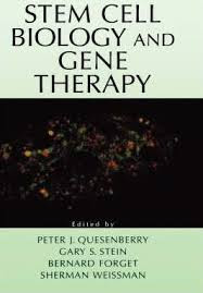 gene therapy and stem cells,stem cell therapy biologic,is gene therapy and stem cell therapy the same,gene therapy with stem cells,stem cells and biotechnology