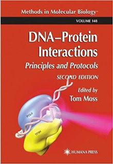 dna protein interactions,dna-protein interactions methods for detection and analysis,dna protein interactions ppt,dna-protein interactions-electromobility shift assay,dna-protein interactions principles and protocols,dna protein interactions pdf,protein dna interactions methods,transient protein dna interactions,analysis of dna protein interactions,an overview of dna-protein interactions,dna-protein interactions,dna protein interaction,dna-protein interaction,dna protein interaction major groove,protein dna interaction hydrogen bond,dna protein interaction in hindi,introduction to protein-dna interactions structure thermodynamics and bioinformatics,nonspecific protein dna interactions,significance of protein dna interactions,dna protein interaction prediction software,dna protein interaction prediction,dna protein interaction methods ppt,dna-protein interaction analysis,sequence specific protein dna interactions,protein dna interactions