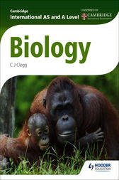 cambridge international as and a level biology coursebook,cambridge international as and a level biology workbook answers,cambridge international as and a level biology book,cambridge international as and a level biology revision guide,cambridge international as and a level biology c. j. clegg pdf,cambridge international as and a level biology workbook,cambridge international as and a level biology workbook with cd-rom,cambridge international as and a level biology coursebook with cd-rom,cambridge international as and a level biology past papers,cambridge international as and a level biology practical workbook,cambridge international as and a level biology syllabus,cambridge international as and a level biology teacher's resource,cambridge international as and a level biology by mary jones 4th ed,cambridge international a level biology grade boundaries,cambridge international as and a level biology coursebook cd rom,cambridge international as and a level biology coursebook cd-rom download,cambridge international as and a level biology c. j. clegg pdf download,cambridge international as and a level biology cd rom,cambridge international as and a level biology coursebook 5th edition,cambridge international as and a level biology 9700,cambridge international as and a level biology 9700 paper 5 q1 november 2008,cambridge international as and a level biology revision guide enhanced digital edition,biology in context for cambridge international as and a level,cambridge international as and a level biology revision guide john adds,cambridge international as/a level biology revision guide 2nd edition,cambridge international as & a level biology practical teacher's guide,cambridge international as and a level biology end of chapter answers,cambridge international as and a level biology c. j. clegg,cambridge international as and a level biology 9700 paper 2 june 2007,cambridge international as and a level biology 9700 paper 42 q5 june 2010,cambridge international as and a level biology notes,cambridge international as level biology end of chapter questions answers,cambridge international as and a level biology practical workbook answers,cambridge international as and a level biology revision guide john adds pdf,cambridge international as and a level biology 9700 syllabus,cambridge international a level biology specification,cambridge international as and a level biology workbook with cd-rom pdf,cambridge international as and a level biology 5th edition,cambridge international o level biology 5090 paper 22 nov 2015,cambridge international as and a level biology 9700 paper 2 q5 june 2007