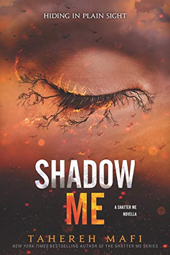 Shadow Me Book Pdf Free Download