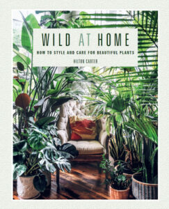 Wild at home: how to style and care for beautiful plants book 