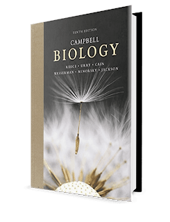 campbell biology 10th edition pdf online,campbell biology 10th edition pdf reddit,campbell biology 10th edition online textbook,campbell biology 10th edition answers,campbell biology 10th edition chapter 13,campbell biology 10th edition chapter 17,campbell biology 10th edition table of contents,campbell biology 10th edition apa citation,campbell biology 10th edition australia,campbell biology 10th edition answer key,campbell biology 10th edition australian version pdf free,campbell biology 10th edition audiobook,campbell biology 10th edition amazon,campbell biology 10th edition a global approach,campbell biology 10th edition online,campbell biology 10th edition online pdf,campbell biology 10th edition ebook,campbell biology 10th edition test bank,campbell biology 10th edition read online,campbell biology 10th edition buy,campbell biology 10th edition book,campbell biology 10th edition test bank pdf download free,campbell biology 10th edition test bank pdf,campbell biology 10th edition test bank pdf free,campbell biology 10th edition test bank answers,campbell biology 10th edition test bank free download,campbell biology 10th edition citation,campbell biology 10th edition chapter 14,campbell biology 10th edition chapter 18,campbell biology 10th edition chapter 15,campbell biology 10th edition chapter 10,campbell biology 10th edition chapter 8,campbell biology 10th edition easy notecards,campbell biology 10th ed ebook,campbell biology 10th edition scientific skills exercise answers,campbell biology 10th edition chapter 16 easy notecards,campbell biology 10th edition chapter 17 easy notecards,campbell biology 10th edition chapter 10 easy notecards,campbell biology 10th edition chapter 9 easy notecards,campbell biology 10th edition free,campbell biology 10th edition free online textbook,campbell biology 10th edition online free pdf,campbell biology 10th edition chapter 29 flashcards,campbell biology 10th edition chapter 18 flashcards,campbell biology 10th edition chapter 22 flashcards,campbell biology 10th edition hardcover,campbell biology 10th edition second hand,campbell biology 10th edition isbn,campbell biology 10th edition in sri lanka,campbell biology 10th edition instructor resources,campbell biology 10th edition index,campbell mastering biology 10th edition pdf,campbell biology 10th edition notes,campbell biology 10th edition course notes,campbell biology 10th edition chapter 18 easy notecards,campbell biology 10th edition online free,campbell biology 10th edition outline,campbell biology 10th edition online book,ap biology campbell 10th edition outlines,campbell biology 10th edition chapter 4 outline,campbell biology 10th edition powerpoints,campbell biology 10th edition pdf free download reddit,campbell biology 10th edition place of publication,campbell biology 10th edition price in sri lanka,campbell biology 10th edition publishing city,campbell biology 10th edition quizlet,campbell biology 10th edition questions,campbell biology 10th edition quizzes,campbell biology 10th edition practice questions,campbell biology 10th edition chapter 8 quizlet,campbell biology 10th edition chapter 5 quizlet,campbell biology 10th edition chapter 4 quizlet,campbell biology 10th edition chapter 19 quizlet,campbell biology 10th edition reference,campbell biology 10th edition reddit,campbell biology 10th edition reece test bank,campbell biology 10th edition rent,campbell biology (10th revised edition),campbell biology 10th edition study guide,campbell biology 10th edition sinhala translation,campbell biology 10th edition slader,campbell biology 10th edition summary,campbell biology 10th edition sell,campbell biology 10th edition slides,campbell biology 10th edition textbook pdf,campbell biology 10th edition uk,campbell biology 10th edition vs 11th edition,campbell biology volume 1 10th edition,campbell biology volume 2 10th edition,campbell biology 10th edition pdf tiếng việt,campbell biology 10th edition year of publication,campbell biology 10th edition chapter 12,campbell biology 10th edition chapter 11,campbell biology 10th edition chapter 1 pdf,campbell biology 10th edition chapter 1 easy notecards,campbell biology 10th edition chapter 1 test,campbell biology 10th edition test bank chapter 1,campbell biology 10th edition chapter 24,campbell biology 10th edition chapter 22,campbell biology 10th edition chapter 25,campbell biology 10th edition chapter 23,campbell biology 10th edition chapter 26,campbell biology 10th edition chapter 2,campbell biology 10th edition chapter 23 easy notecards,campbell biology 10th edition chapter 28,campbell biology 10th edition chapter 2 pdf,campbell biology 10th edition chapter 2 easy notecards,campbell biology 10th edition chapter 2 answers,campbell biology 10th edition chapter 4,campbell biology 10th edition chapter 40,campbell biology 10th edition ch 40,campbell biology 10th edition chapter 5,campbell biology 10th edition chapter 51,campbell biology 10th edition chapter 6,campbell biology 10th edition chapter 6 powerpoint,campbell biology 10th edition chapter 7,campbell biology 10th edition chapter 7 easy notecards,campbell biology 10th edition chapter 8 test,campbell biology 10th edition chapter 9,difference between campbell biology 9th and 10th edition