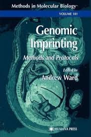 genomic imprinting biology,genomic imprinting practice problems,genomic imprinting questions,genomic.imprinting,genomic imprinting,genomic imprinting pedigree example,genomic imprinting examples,genomic imprinting simplified,genomic imprint,genomic imprinting exam questions,imprinting genomic,genomic imprinting review pdf,genomic imprinting practice problems,genomic imprinting biology,genomic imprinting pedigree example,genomic imprinting examples,genomic imprinting simplified,genomic imprinting exam questions,genomic imprinting questions,genomic imprinting and x inactivation