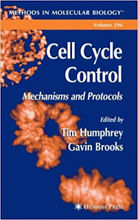 cell cycle control,cell cycle control system,cell cycle control mechanism pdf,cell cycle control system pdf,cell cycle control and cancer pdf,cell cycle and cell growth control pdf,the cell cycle principles of control pdf,the cell cycle principles of control pdf download,cell cycle and control pdf,cell cycle control worksheet,cell cycle control,the cell cycle principles of control morgan pdf,the cell cycle principles of control david morgan pdf,the cell cycle principles of control david morgan pdf download,control of cell cycle pdf