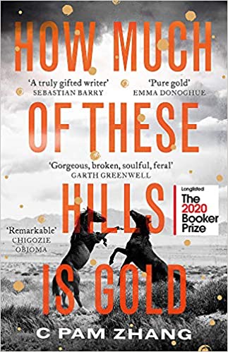 How Much of These Hills Is Gold Book Pdf Free Download