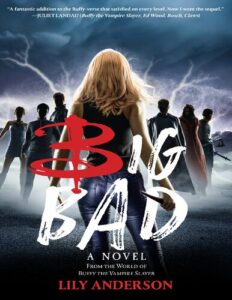 Big Bad By Lily Anderson pdf