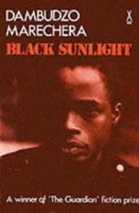 Black Sunlight by Dambudzo Marechera pdf